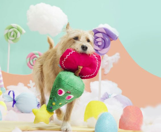 Bark_Spruce_Bruce_Dog_Toy_Lifestyle_Image_2
